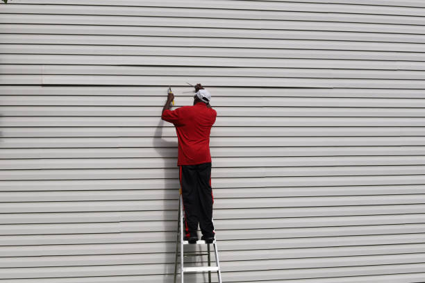 Best Insulated Siding Installation  in Houston, TX